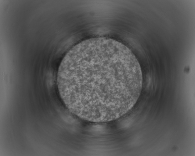 X0000092100236200710101128