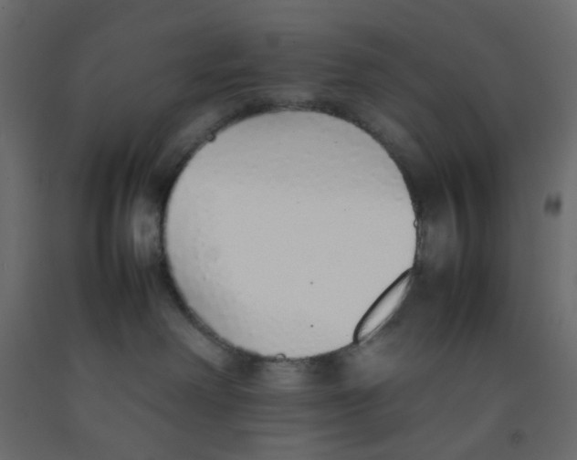 X0000092100238200710101128