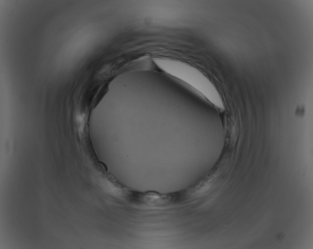 X0000092100239200710101128