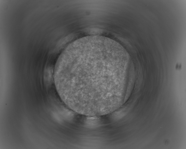 X0000092100240200710101128