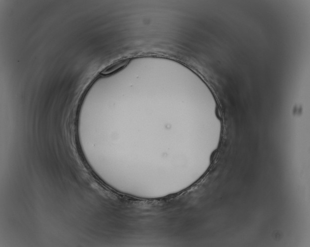 X0000092100241200710101128