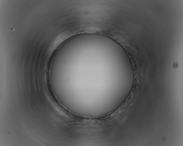 X0000092100242200710101128