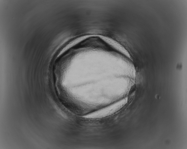 X0000092100243200710101128