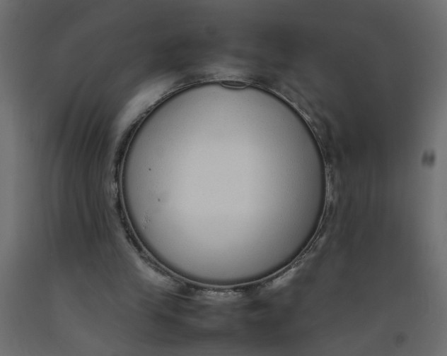 X0000092100245200710101128