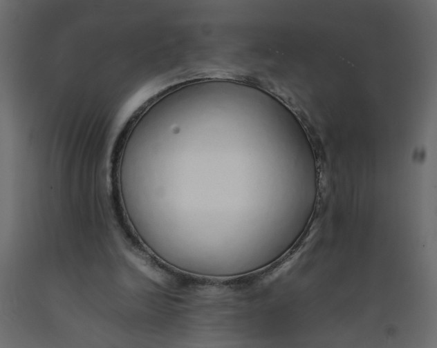 X0000092100246200710101128