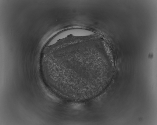 X0000092100247200710101128