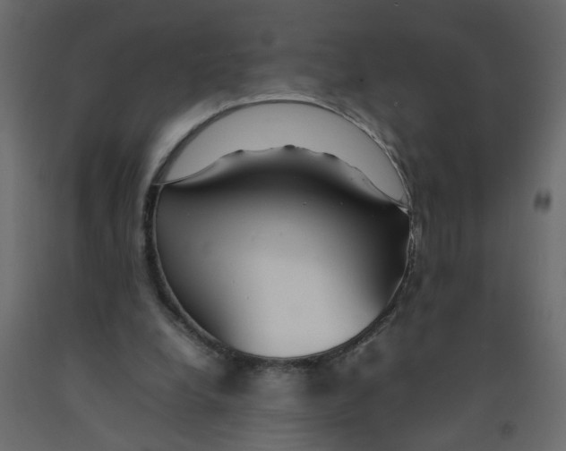 X0000092100248200710101128