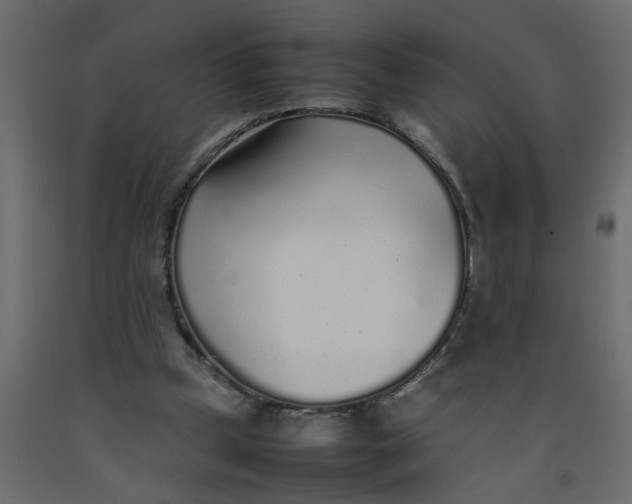 X0000092100249200710101128