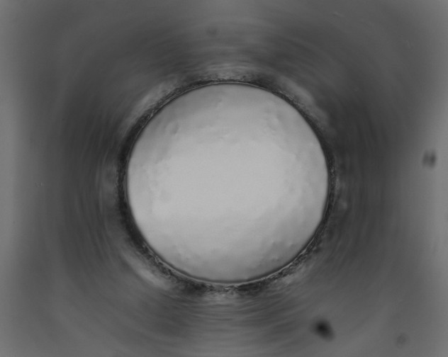 X0000092100250200710101128