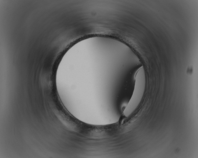 X0000092100252200710101128