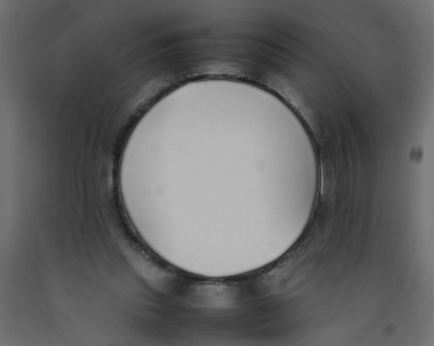 X0000092100253200710101128