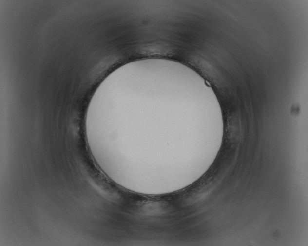 X0000092100255200710101128