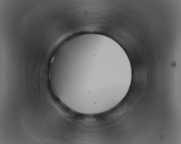 X0000092100256200710101128