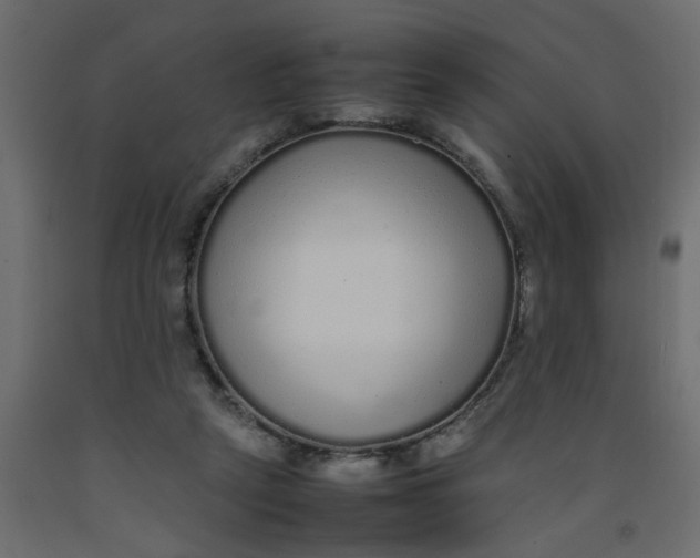 X0000092100257200710101128