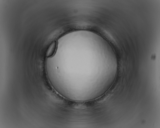 X0000092100258200710101128