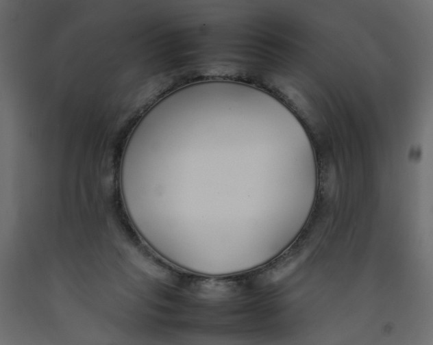 X0000092100261200710101128