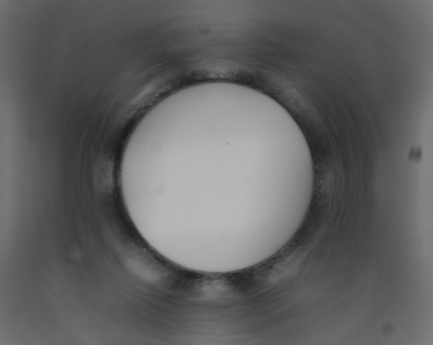 X0000092100262200710101128