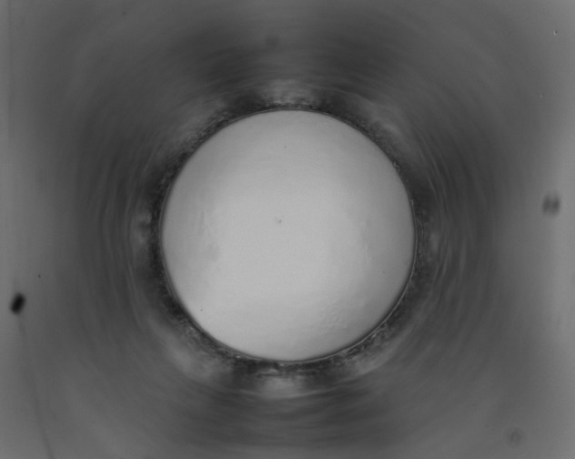 X0000092100263200710101128