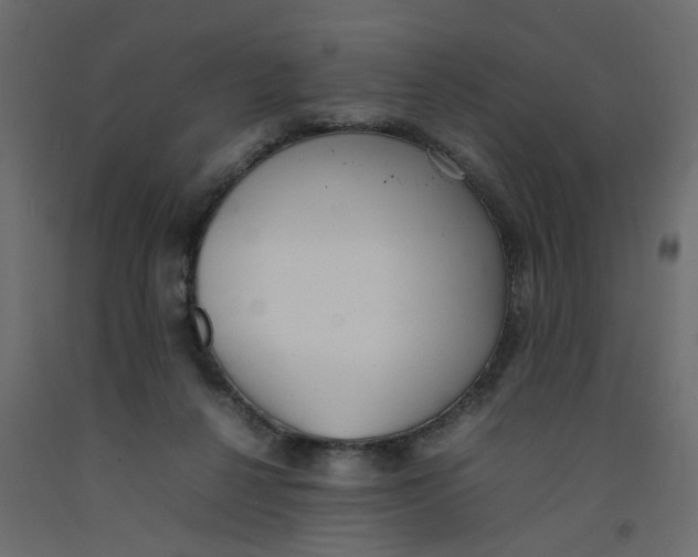 X0000092100264200710101128