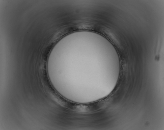 X0000092100265200710101128