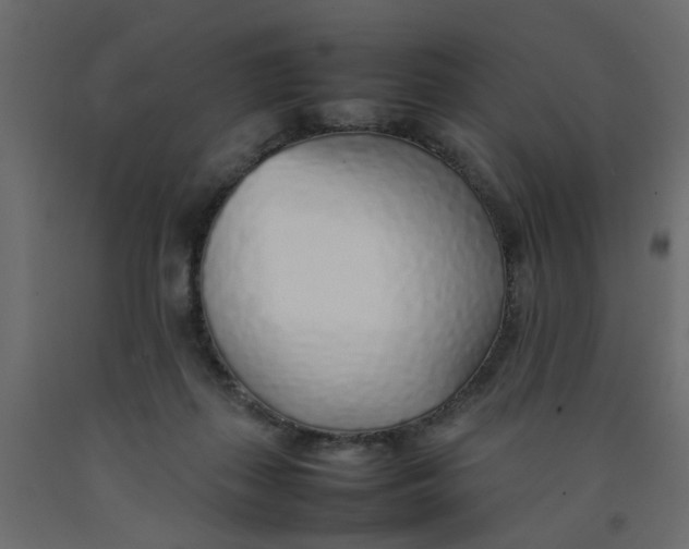 X0000092100267200710101128