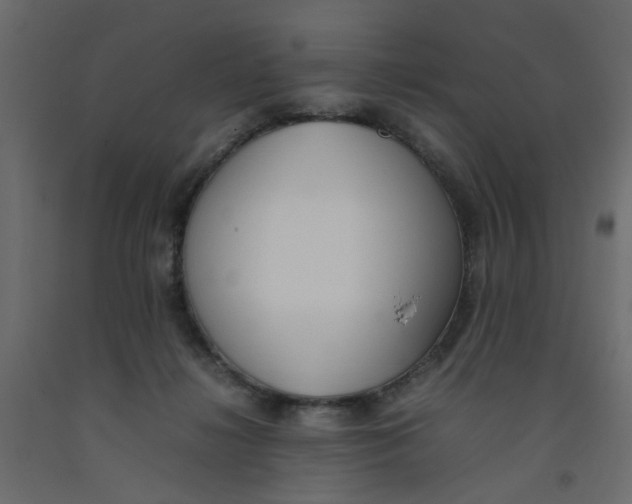 X0000092100268200710101128