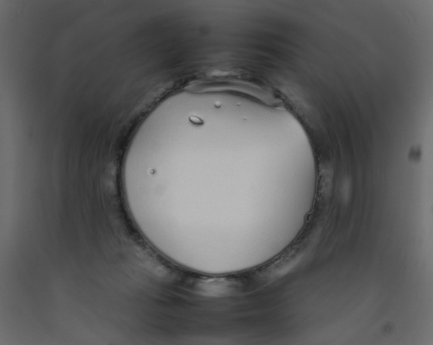 X0000092100269200710101128