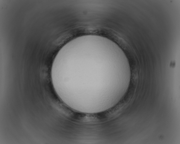 X0000092100270200710101128