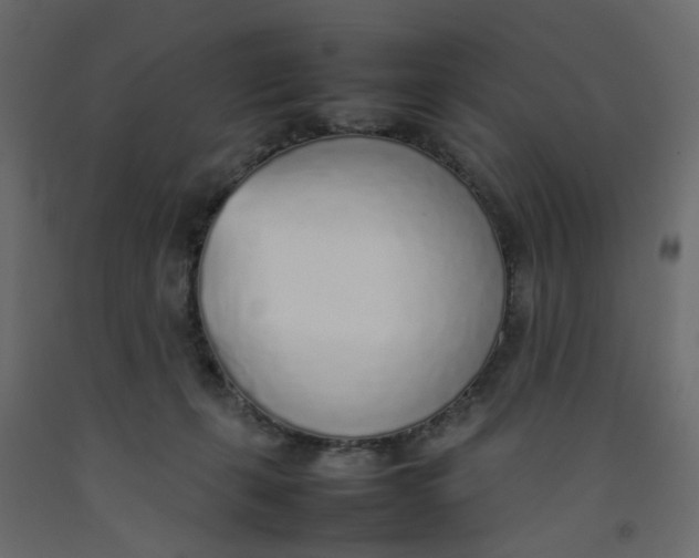 X0000092100271200710101128