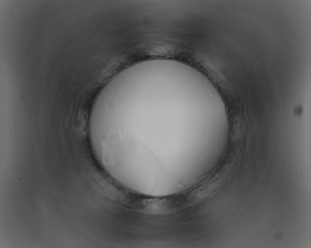 X0000092100273200710101128