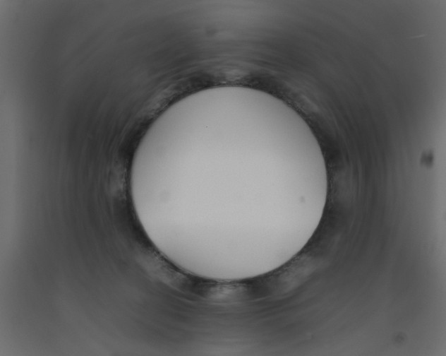 X0000092100274200710101128