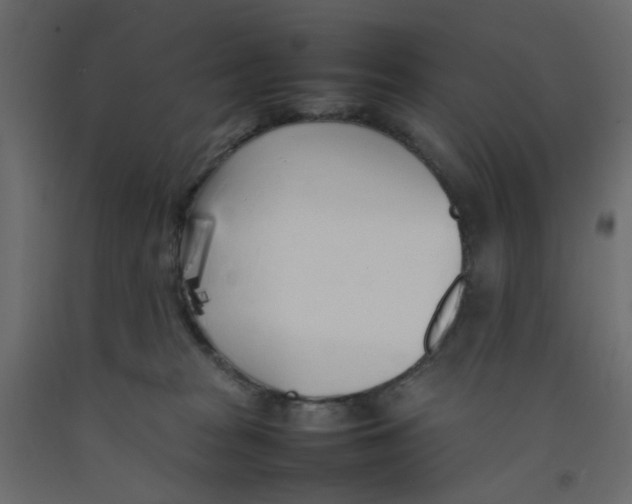 X0000092100277200710101128