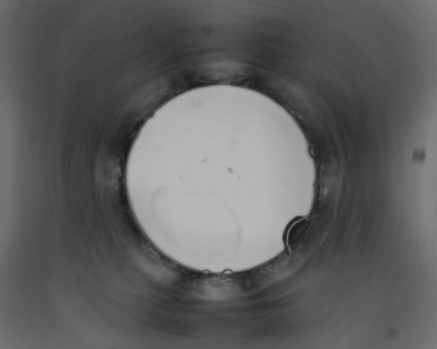 X0000092100279200710101128