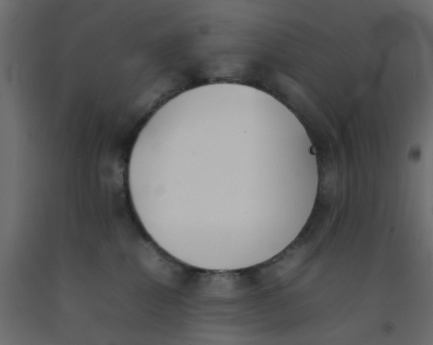 X0000092100282200710101128