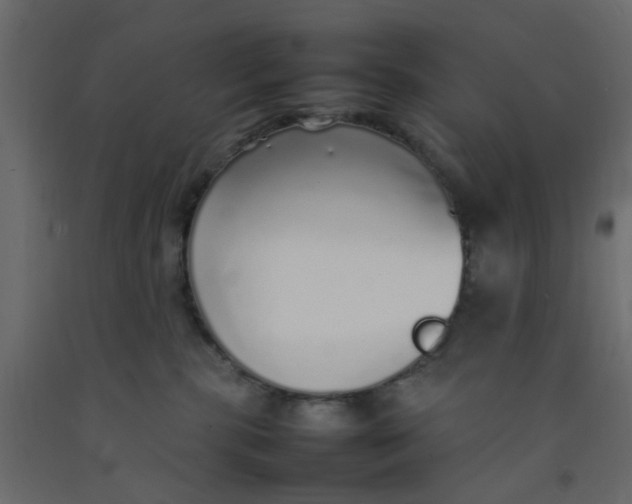 X0000092100283200710101128