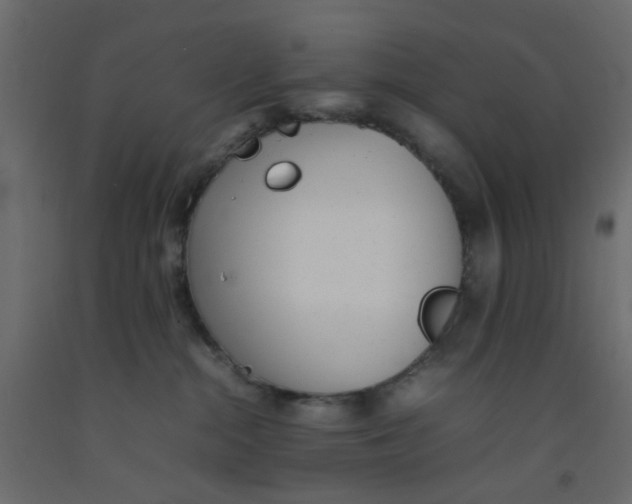 X0000092100284200710101128