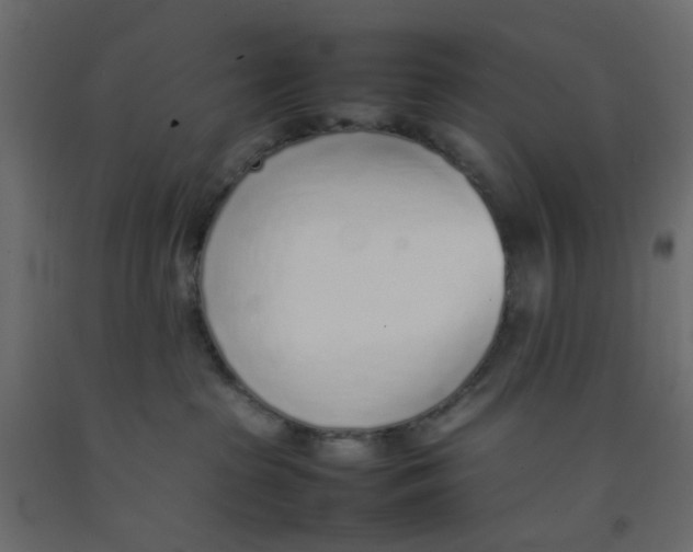 X0000092100285200710101128