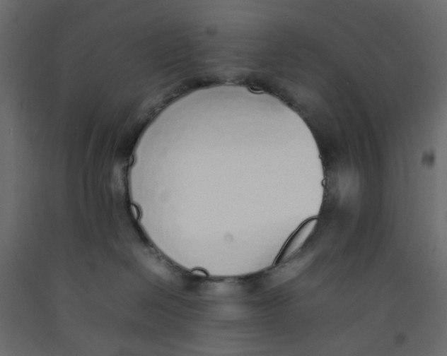 X0000092100286200710101128