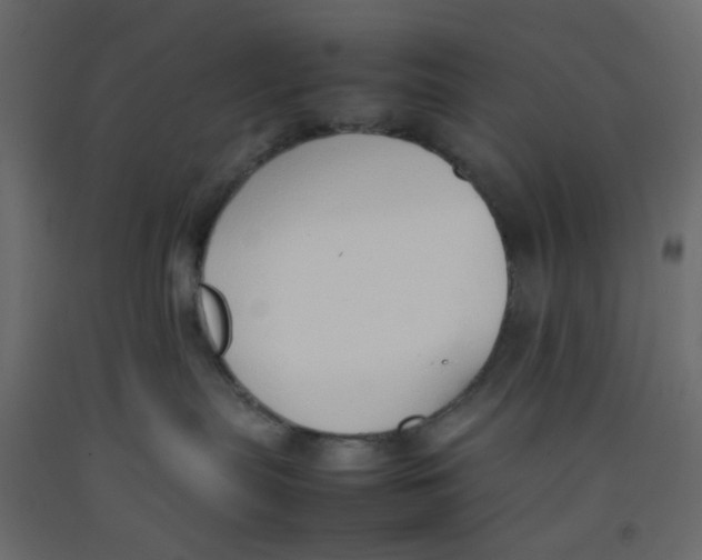 X0000092100287200710101128