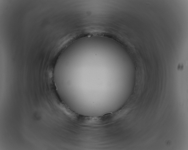 X0000092100288200710101128