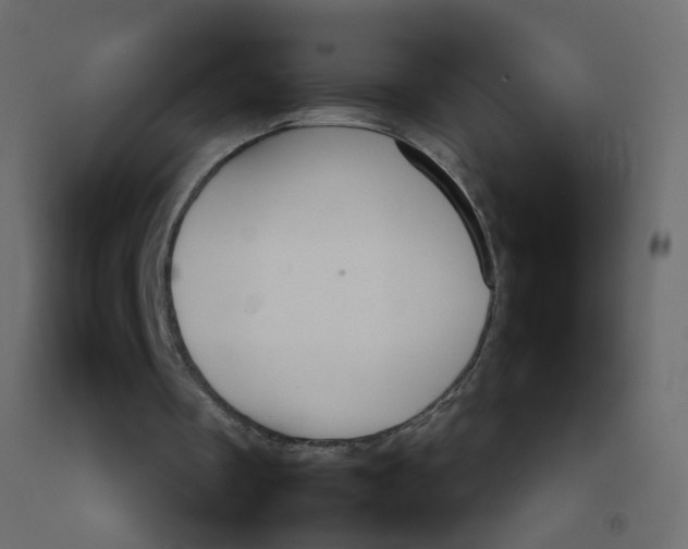 X0000092100289200710101128