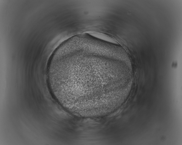 X0000092100290200710101128