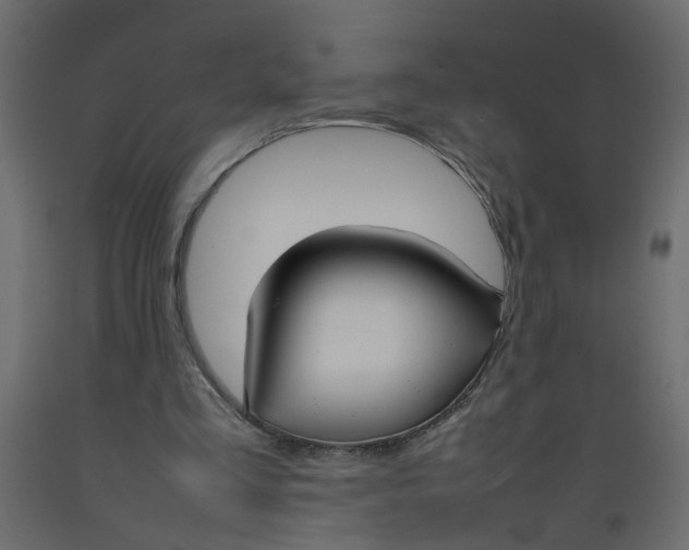 X0000092100293200710101128