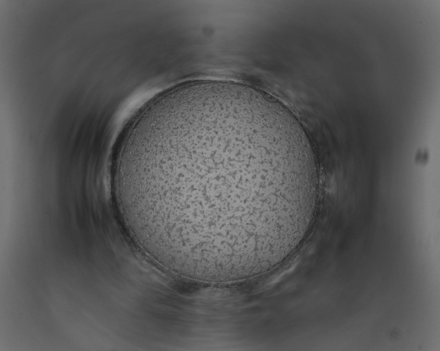 X0000092100294200710101128