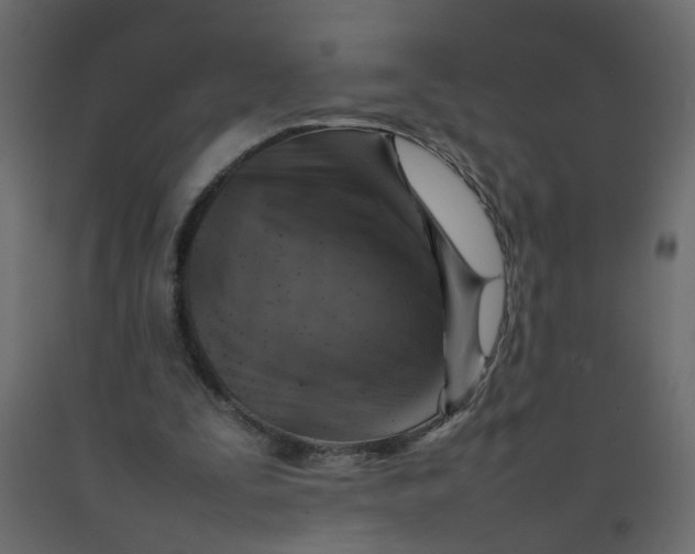 X0000092100295200710101128