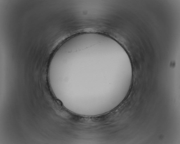 X0000092100297200710101128