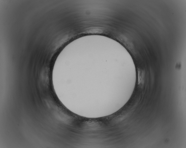 X0000092100300200710101127