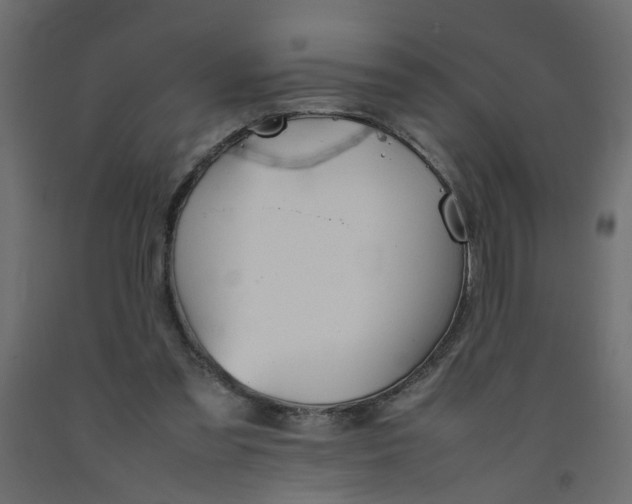 X0000092100301200710101127