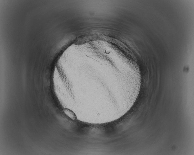 X0000092100303200710101127