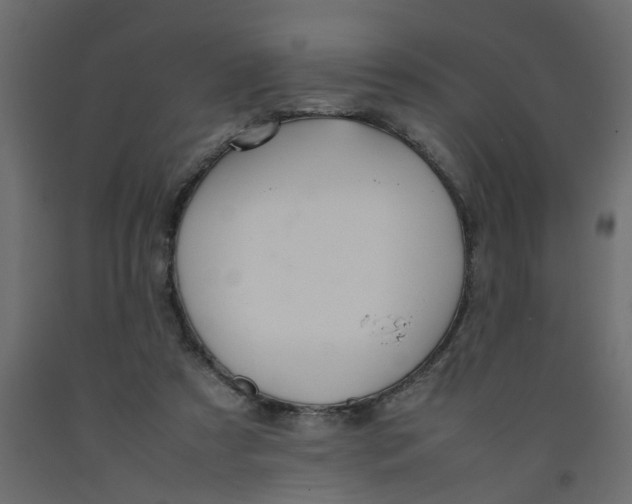 X0000092100305200710101127